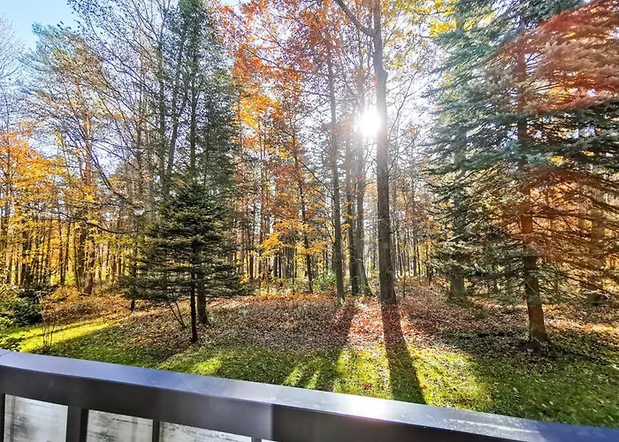 Apartament Z Widokiem Na Park