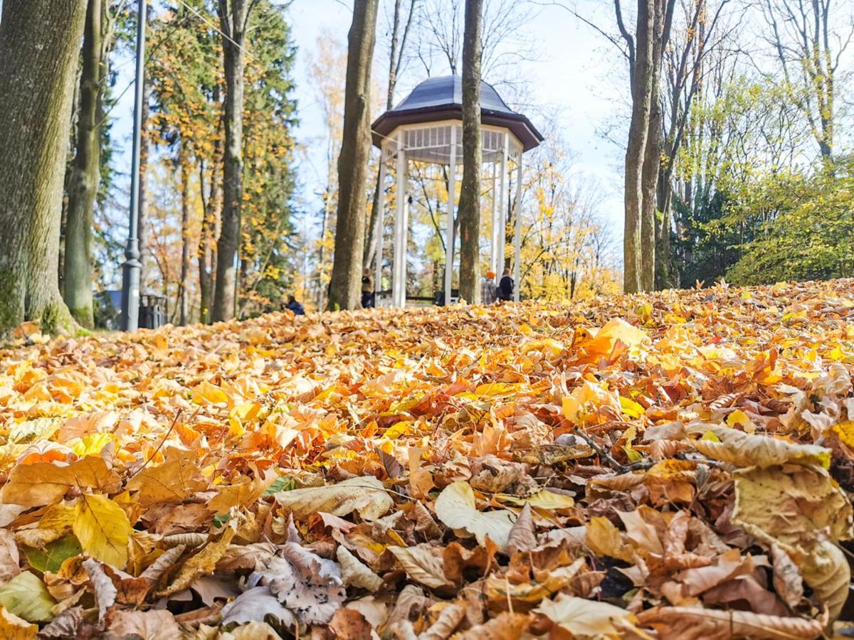 Z Widokiem Na Park